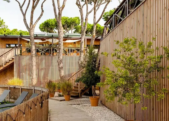 Nuevos Apartamentos Biopasivos Living Pura Madera