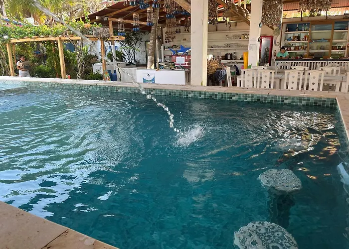 Hotel Playa Tiburón