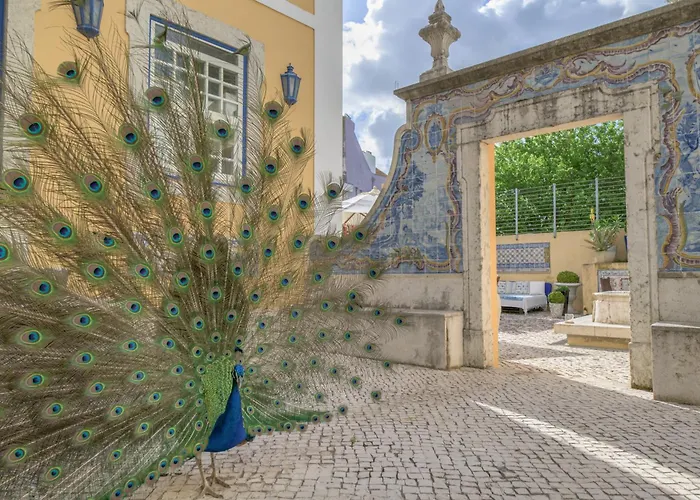 Solar Do Castelo - Lisbon Heritage Collection - Alfama