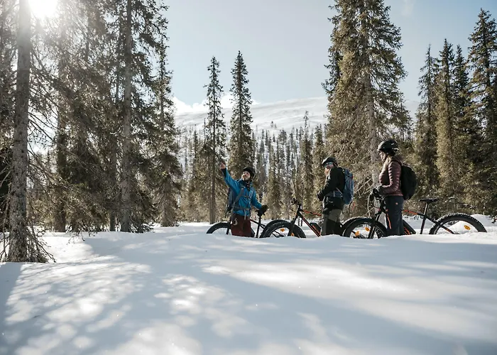 Lapland Hotels Yllaeskaltio