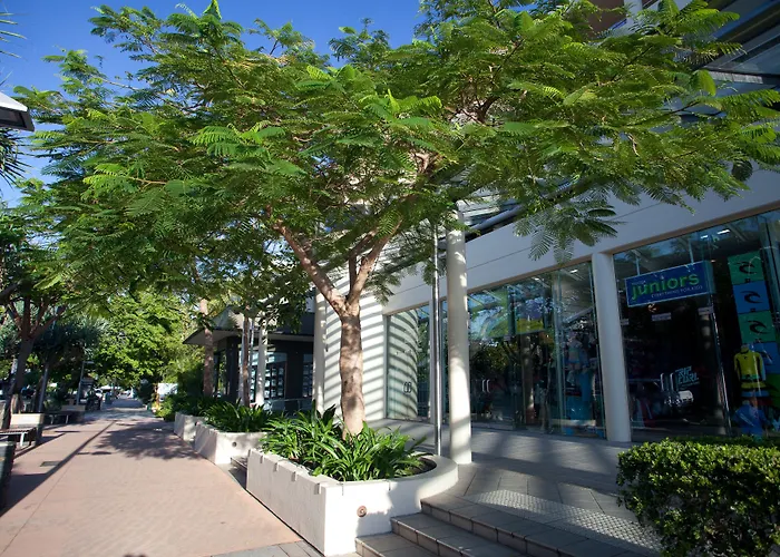 Tingirana Noosa
