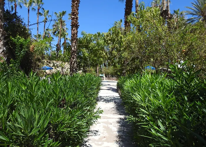 Hotel Oasis