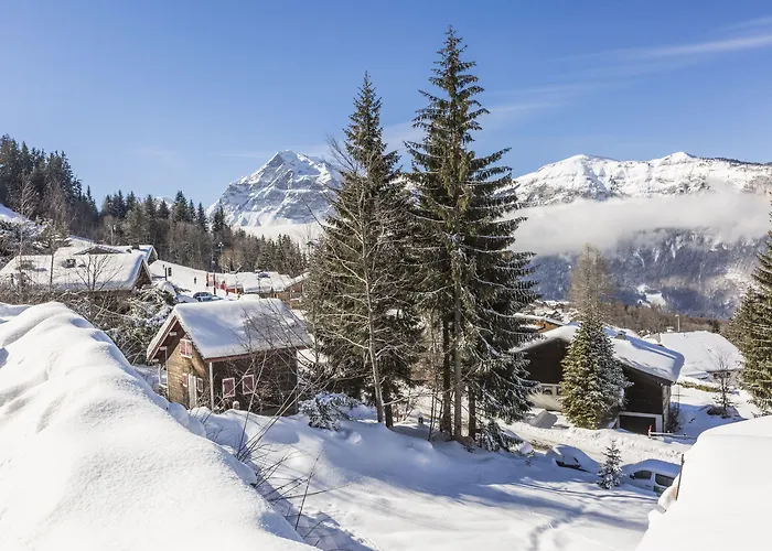 Résidence Odalys Le Front De Neige