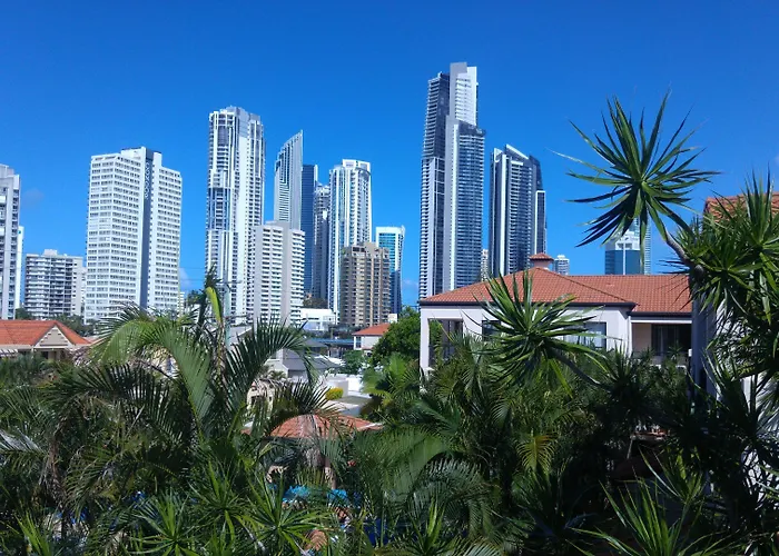 Chevron Palms By Premium