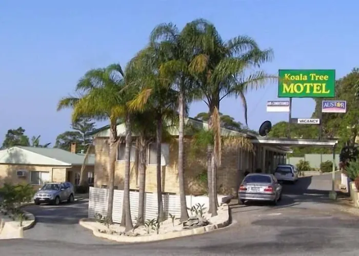 Koala Tree Motel