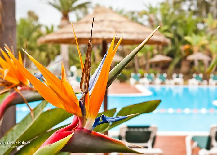 Residence Baia Delle Palme
