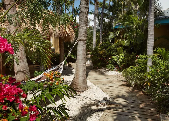 Paradera Park Aruba Oranjestad