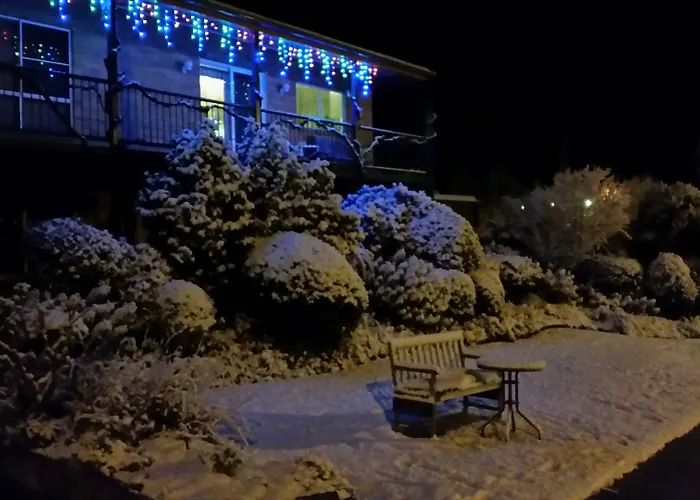 The Vines Motel & Cottages