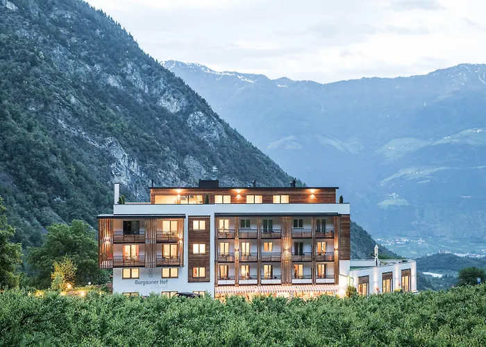 Hotel Burgaunerhof