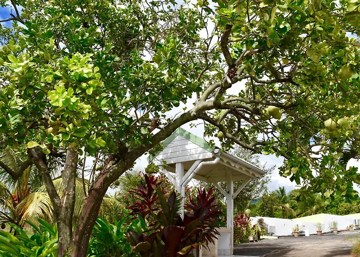 Résidence Paradis Tropical Basse-Terre