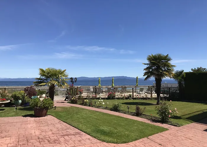 Buena Vista By The Sea