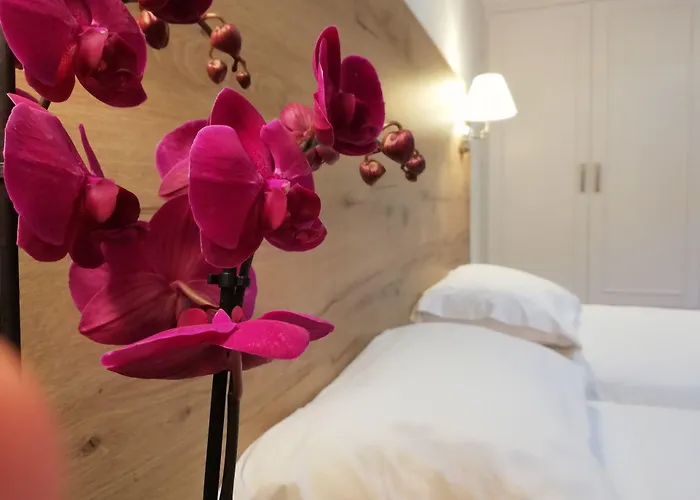 The Mathraki Studios (Adults Only) Arillas 