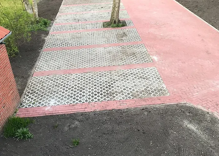 Kleine Möwe