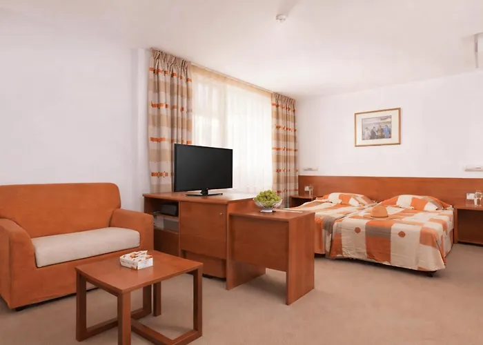 Hotel Fenix
