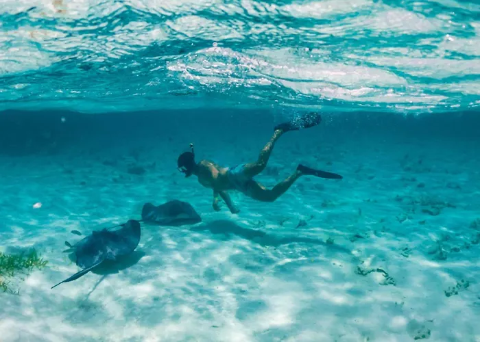 Reef Haven Belize