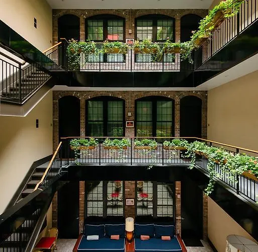 The Broome