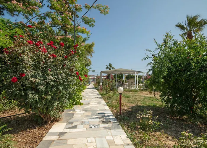 Violetta Hotel Amoudara 