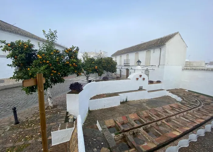 Aparthotel Las Palomas La Puebla de los Infantes