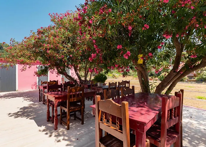 Pink Palace Beach Resort
