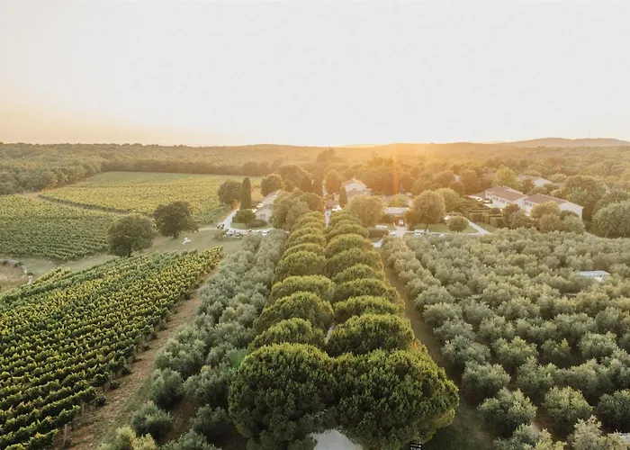 Meneghetti Wine Hotel&Winery - Relais&Chateaux