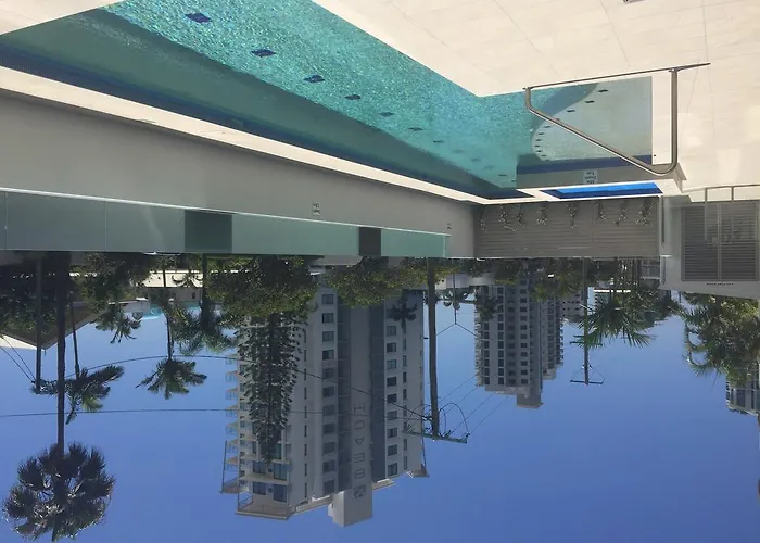 Verve On Cotton Tree