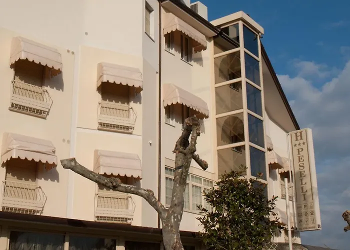 Hotel Peselli