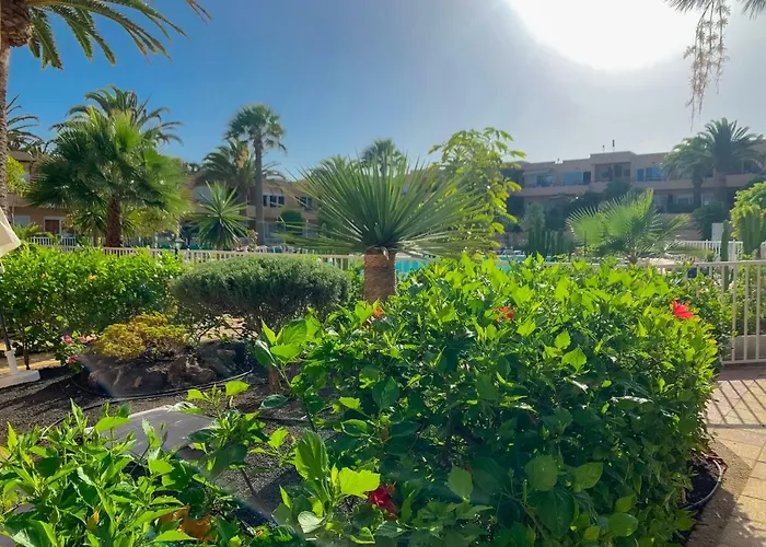 La Primera Duna - Residencial Las Dunas Corralejo