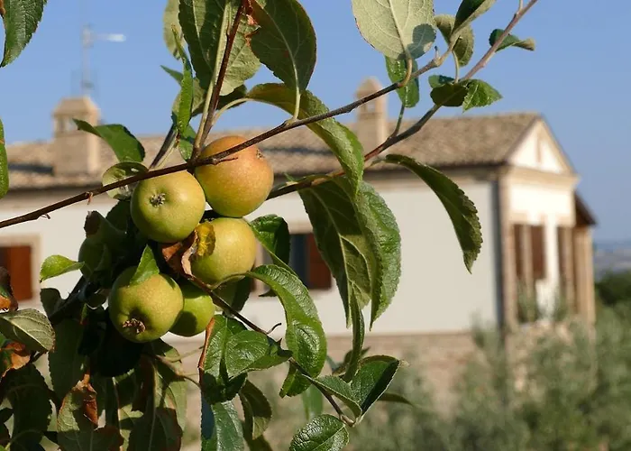 Residence Colle Veroni Mosciano SantʼAngelo