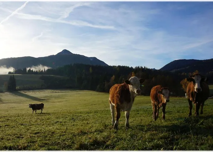 Alpin Apart Flachau
