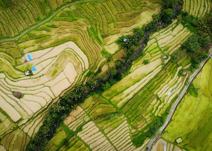 Hidden City Ubud - Modern Comfort & Relaxed Living Near Central Ubud And Green Fields